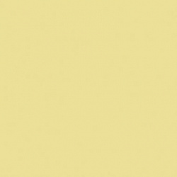 CSM1291C