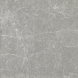 G351-TurgoyakElegant МR